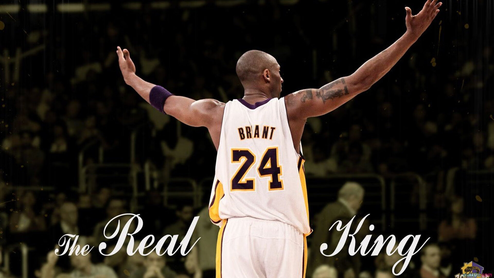 太阳与狼王，竞技场上的一波带走与接管时刻