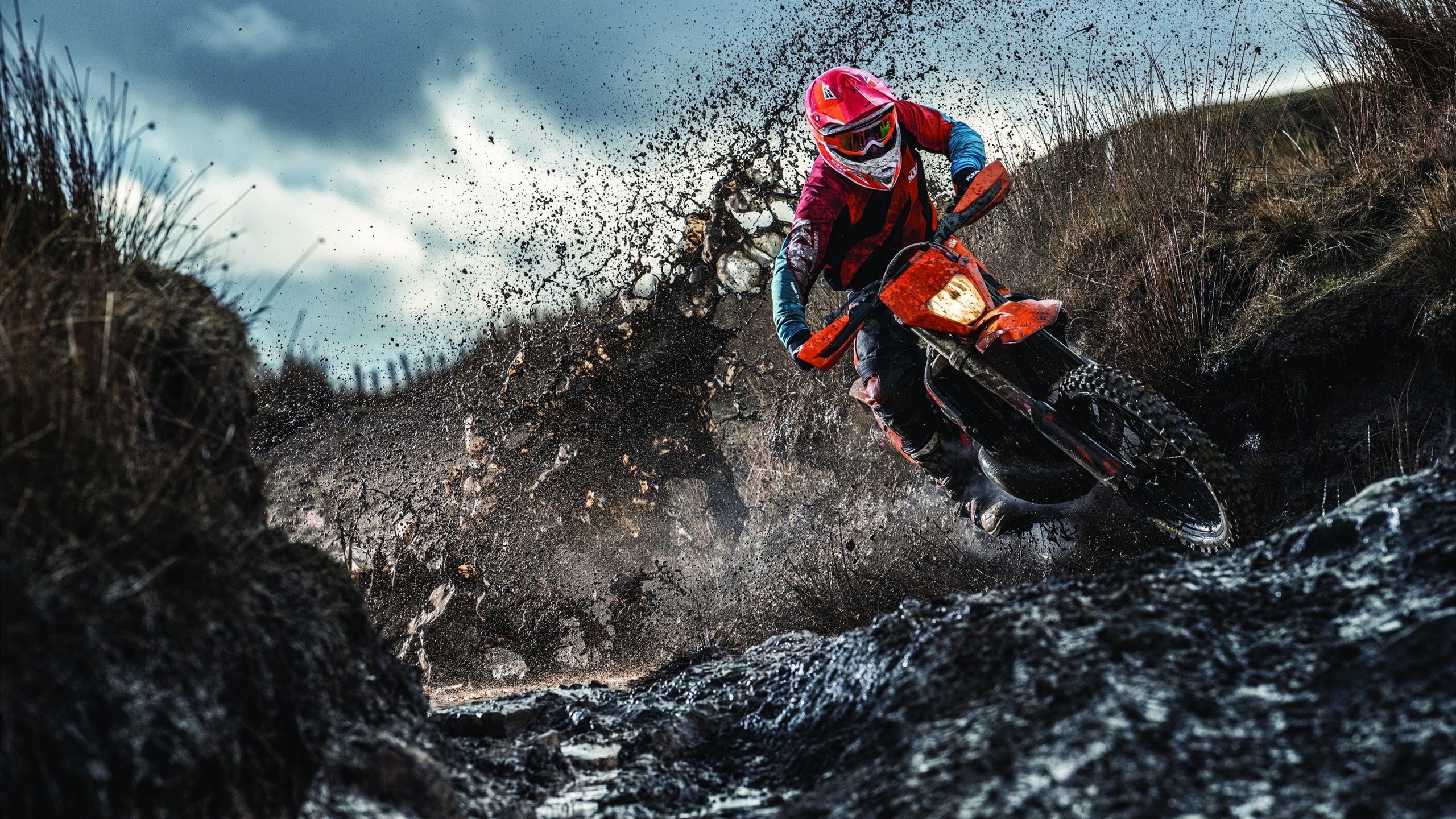 莫兰特爆发启示录，从新疆队的争冠韧性到篮网的战术困境